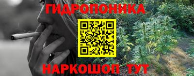 таблы Новодвинск