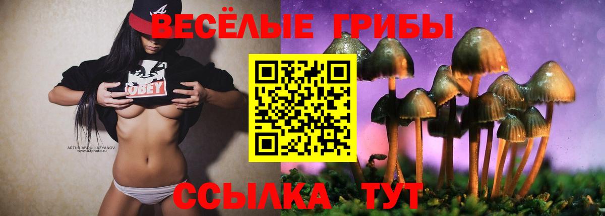 Псилоцибиновые грибы мицелий Солнечногорск